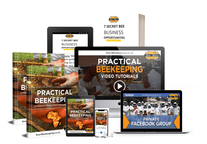 Start Beekeeping Academy Online
